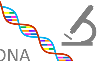 Genoma humano ahora en la nube, Google ofrece almacenar tu genoma